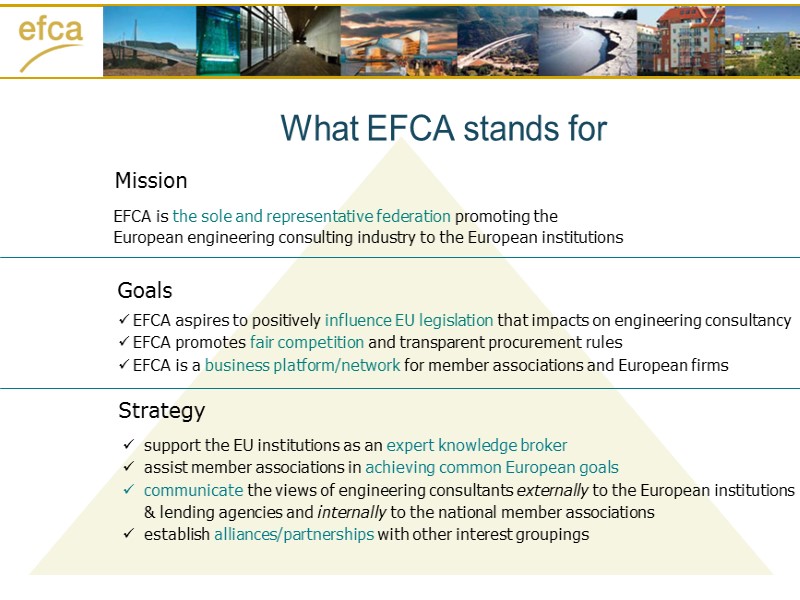 Goals Strategy Mission EFCA is the sole and representative federation promoting the  European